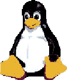 Image penguin